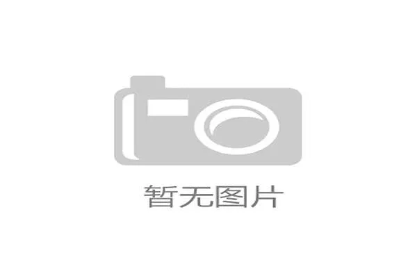 哈兰德是否曾效力过意甲球队?球员履历解析 哈兰德是否曾效力过意甲球队?球员履历解析